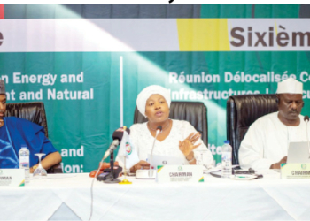 ECOWAS Parliament’s Quest For Effective Electricity Amid Shortfalls