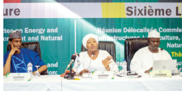 ECOWAS Parliament’s Quest For Effective Electricity Amid Shortfalls
