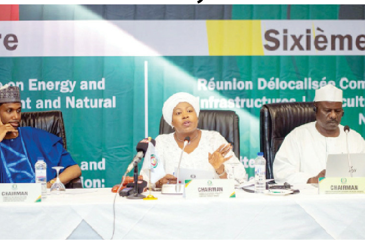 ECOWAS Parliament’s Quest For Effective Electricity Amid Shortfalls 1 Chairperson of the Joint Committee of the ECOWAS Parliament on Energy and Mines, Infrastructure, Agriculture, Environment and Natural Resources, Fanta Conte (Center) speaking during the Delocalised meeting in Dakar, Senegal. Photo: ECOWAS Parliament