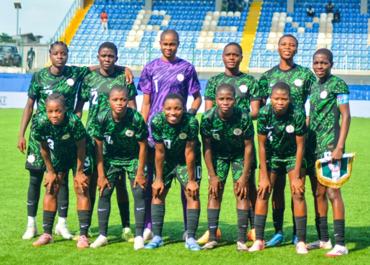 flamingos