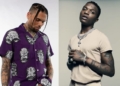 Chris Brown Features Wizkid On New Track