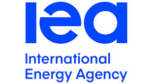 Africa Risks Remaining Energy Poor With Dwindling Investment Inflow- IEA