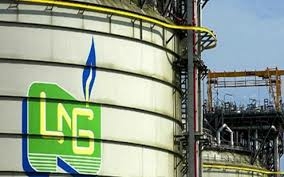 NLNG Targets Improved Fuel Efficiency, Costs With New 522,000 Cubic Meters Vessels