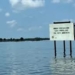 Shell Allowed Nembe Creek Pollution For Years Despite Internal Warnings— BBC