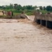 Commuters, Traders Stranded As Taraba Bridge Collapses After Heavy Rainfall 5 Commuters, Traders Stranded As Taraba Bridge Collapses After Heavy Rainfall