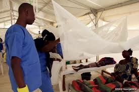 MSF Records 7,850 Cholera Cases, 74 Deaths In Borno Outbreak 1 images 2026 06 09T172146.553