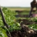 Organic Agriculture Key To Climate Resilience -- FG 5 Organic Agriculture Key To Climate Resilience — FG