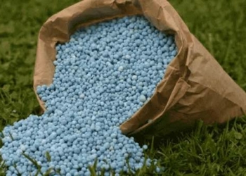 Early Procurement Saves Nigeria ₦61.58bn As Global Fertiliser Prices Soar