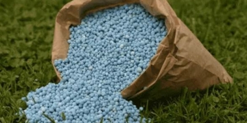 Early Procurement Saves Nigeria ₦61.58bn As Global Fertiliser Prices Soar 2 Early Procurement Saves Nigeria ₦61.58bn As Global Fertiliser Prices Soar
