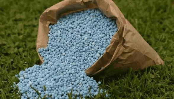 Early Procurement Saves Nigeria ₦61.58bn As Global Fertiliser Prices Soar 1 images 2026 06 11T224831.439