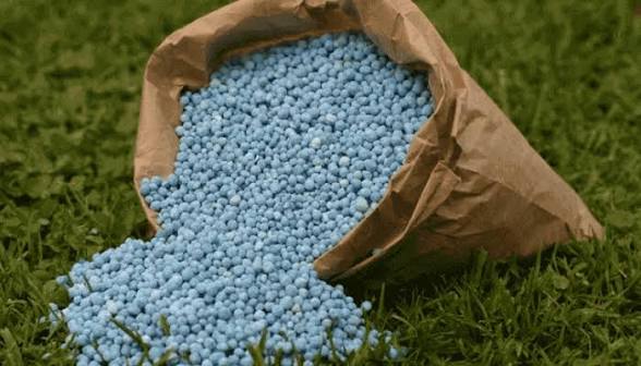 Early Procurement Saves Nigeria ₦61.58bn As Global