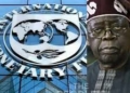 We’re Not Calling for Immediate Tax Hike, IMF Clarifies, Says Nigeria’s Debt Sustainable