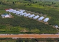 FG Earmarks 30,000 Hectares Of Wase Reserve For Military Livestock Project