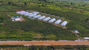 FG Earmarks 30,000 Hectares Of Wase Reserve For Military Livestock Project 2 FG Earmarks 30,000 Hectares Of Wase Reserve For Military Livestock Project