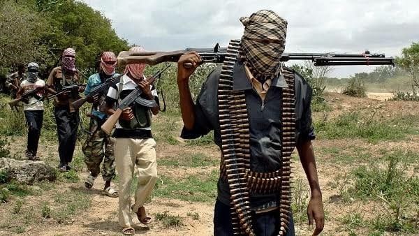 JUST-IN: Boko Haram Terrorists Abduct NECO Candidates In Borno School Attack 1 images 51