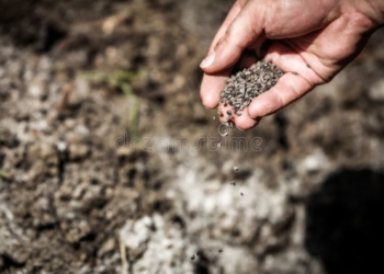 Food Security: FG Distributes 11,720 Bags Of Fertiliser To FCT Farmers