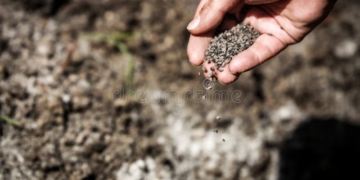 Food Security: FG Distributes 11,720 Bags Of Fertiliser To FCT Farmers