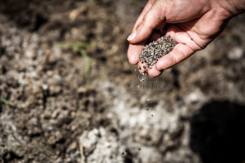 Food Security: FG Distributes 11,720 Bags Of Fertiliser To FCT Farmers