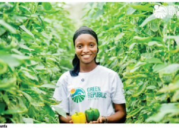 Salaudeen-Ibrahim: Using Climate-Smart Agribusiness To End Food Insecurity, Create Jobs