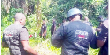Kidnappers Nabbed After Leaving Forest To Search For Food, Medicine