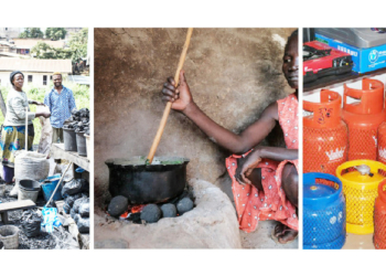 Firewood Economy: Charcoal As A New Goldmine
