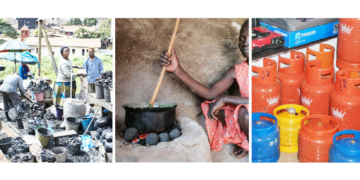 Firewood Economy: Charcoal As A New Goldmine