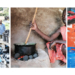 Firewood Economy: Charcoal As A New Goldmine