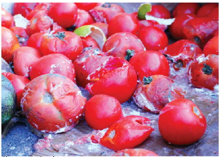Rotten Tomatoes, Last Resort For Hungry Nigerians 1 rotten tomatoes