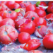 Rotten Tomatoes, Last Resort For Hungry Nigerians 5 Rotten Tomatoes, Last Resort For Hungry Nigerians