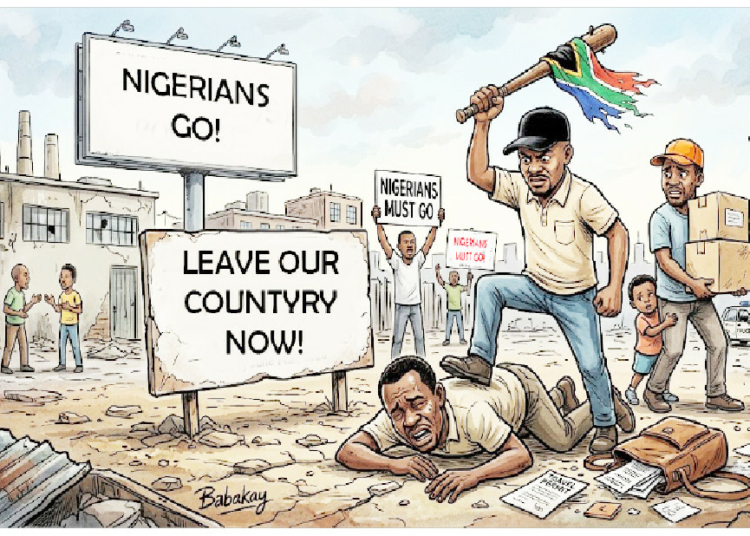 south africa xenophobia
