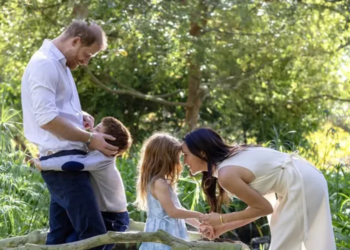 Prince Harry, Meghan Markle Confirm UK Visit With Children In July