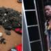 Abia Police Arrest Barber Over Allegedly Using Customers’ Hair For Rituals 4 Abia Police Arrest Barber Over Allegedly Using Customers’ Hair For Rituals