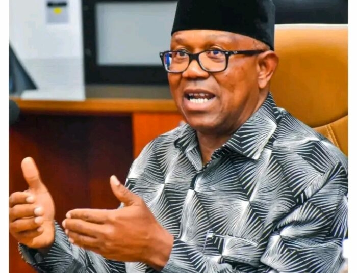 2027 Poll: Nigerians Will Decide Tinubu's Fate, Not Opposition — Peter Obi 1 1784386942205