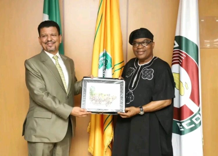 Nigeria Reaffirms Support For Sahrawi Arab Democratic Republic 1 1784823259791