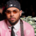 Chris Brown, Firm To Pay Housekeeper $13m Damages After Security Dog Mauling