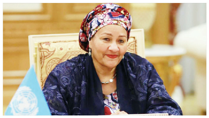 Overlooked By The President 1 Amina Mohammed