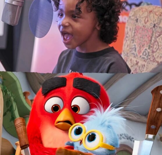 Angry Bird