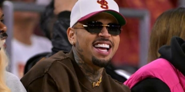 Chris Brown Pleads Guilty To Affray Over London Nightclub Incident 4 Chris Brown Pleads Guilty To Affray Over London Nightclub Incident
