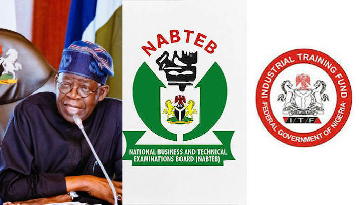 Council Harmonises NABTE, ITF Mandates To Drive Tinubu’s Industrialisation Agenda 1 FG Rejigs NABTE ITF Mandates to Drive Tinubus Industrialisation Agenda