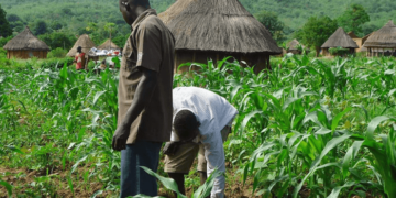 Farmers Receive Training, 1,000 Agro-Inputs In Bauchi 2 Farmers Receive Training, 1,000 Agro-Inputs In Bauchi