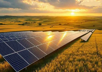 Foundation Inaugurates Solar-powered Water Scheme In Bauchi Community