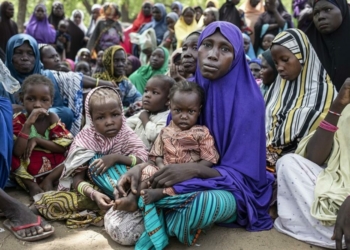 WFP Warns 17m Face Acute Hunger In Northern Nigeria