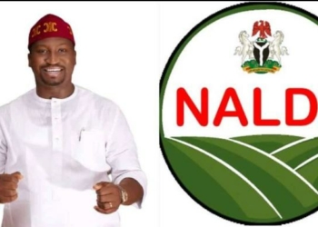 NALDA Targets Fish Villages To Boost Nigeria’s Aquaculture Production