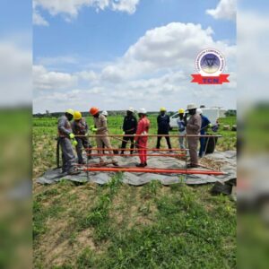 TCN Completes Live-line Repair On Zaria–Funtua 132kV Without Disrupting Power Supply