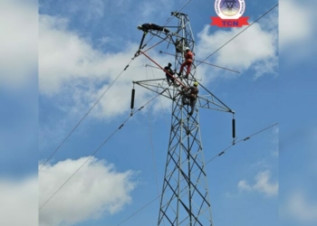 TCN Completes Live-line Repair On Zaria–Funtua 132kV Without Disrupting Power Supply