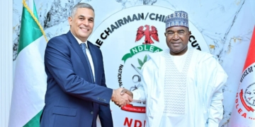Nigeria, Egypt Move To Deepen Anti-Drug Cooperation