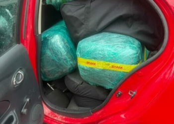 Apapa Port Command Busts N26.5bn Cannabis Shipment Hidden in Imported Cars