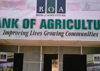 Nigeria Loses ₦3.5trn Yearly To Post-Harvest Losses, 40m Tones Of Food — BoA
