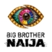 ‎BBNaija S11: 14 Contestants Unveiled In Big Brother House, To Compete For N160m 
