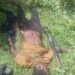 Police Rescue Kidnap Victim, Neutralise Suspect In Kogi Forest Operation 3 Police Rescue Kidnap Victim, Neutralise Suspect In Kogi Forest Operation